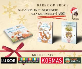 🫶 #jezisek #vanoce #knihkupectvi #rozarka #darky